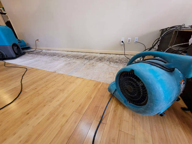 Professional Water Removal technician working in Bartlett, NH